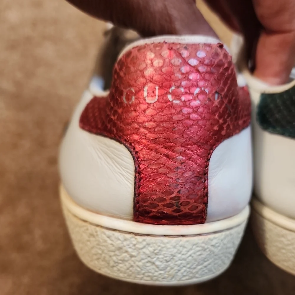 Gucci Ace Bee Sneakers - Picture 6 of 16